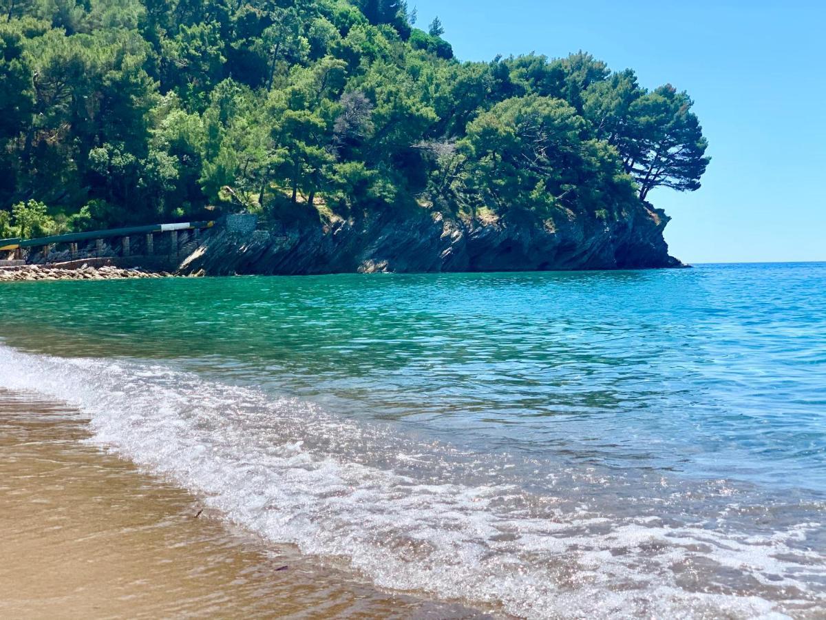 Best View Apartment Petrovac エクステリア 写真