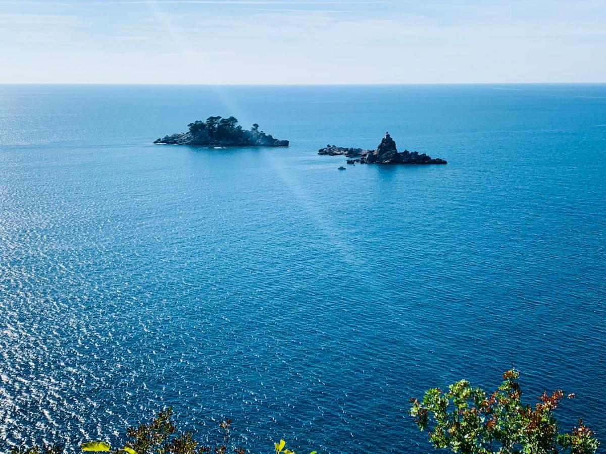 Best View Apartment Petrovac エクステリア 写真