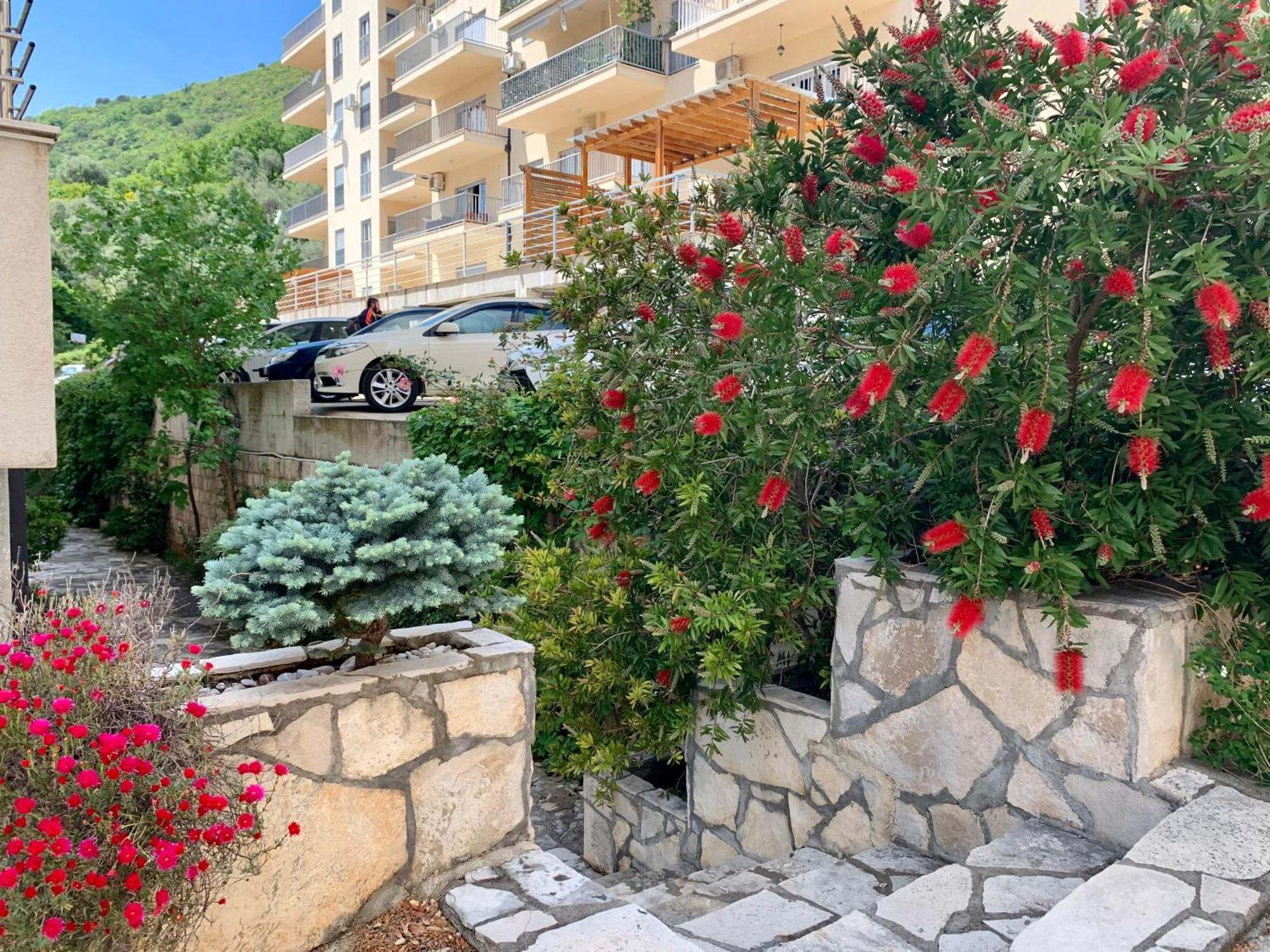 Best View Apartment Petrovac エクステリア 写真